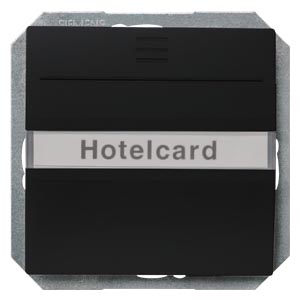 DELTA i-system spínač pro hotelové karty prosvětle