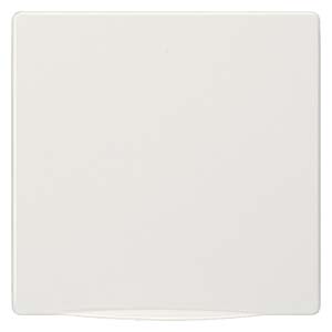 DELTA STYLE, TITANIUM WHITE
COVER PLATE 68X68MM
